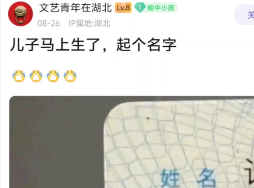 这能起个什么名字?哔哩哔哩bilibili