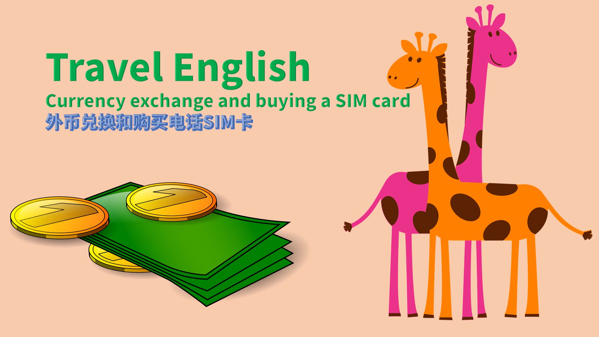 实用旅游英语Travel English 兑换外币和购买电话卡Currency exchange and buying a SIM card哔哩哔哩bilibili