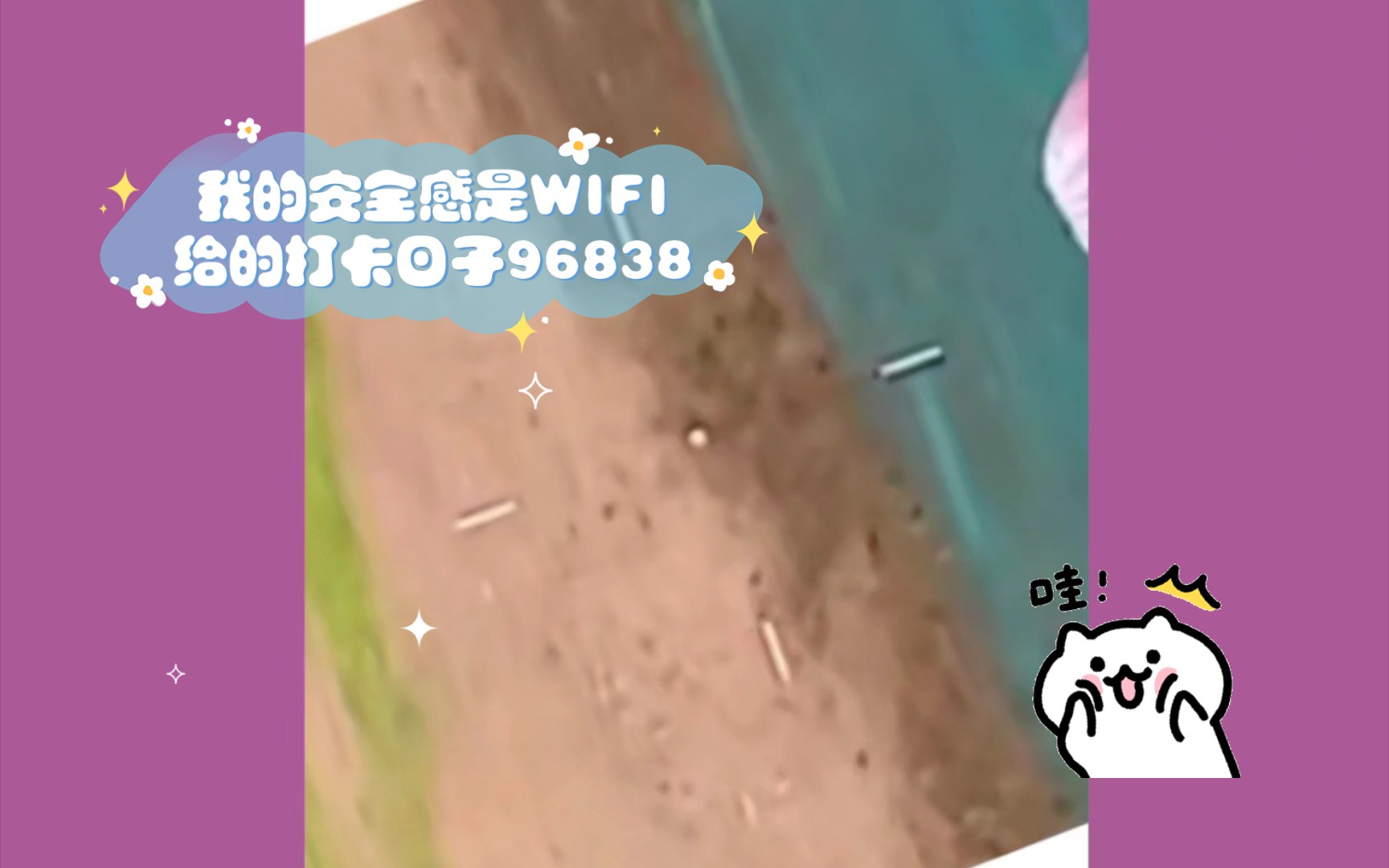 我的安全感是WIFI给的打卡日子96838哔哩哔哩bilibili