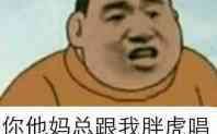 【社会我胖虎 人狠话不多】哔哩哔哩bilibili