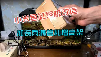 下载视频: 小米鱼缸终极改造，加装雨淋管和增高架，看看效果！