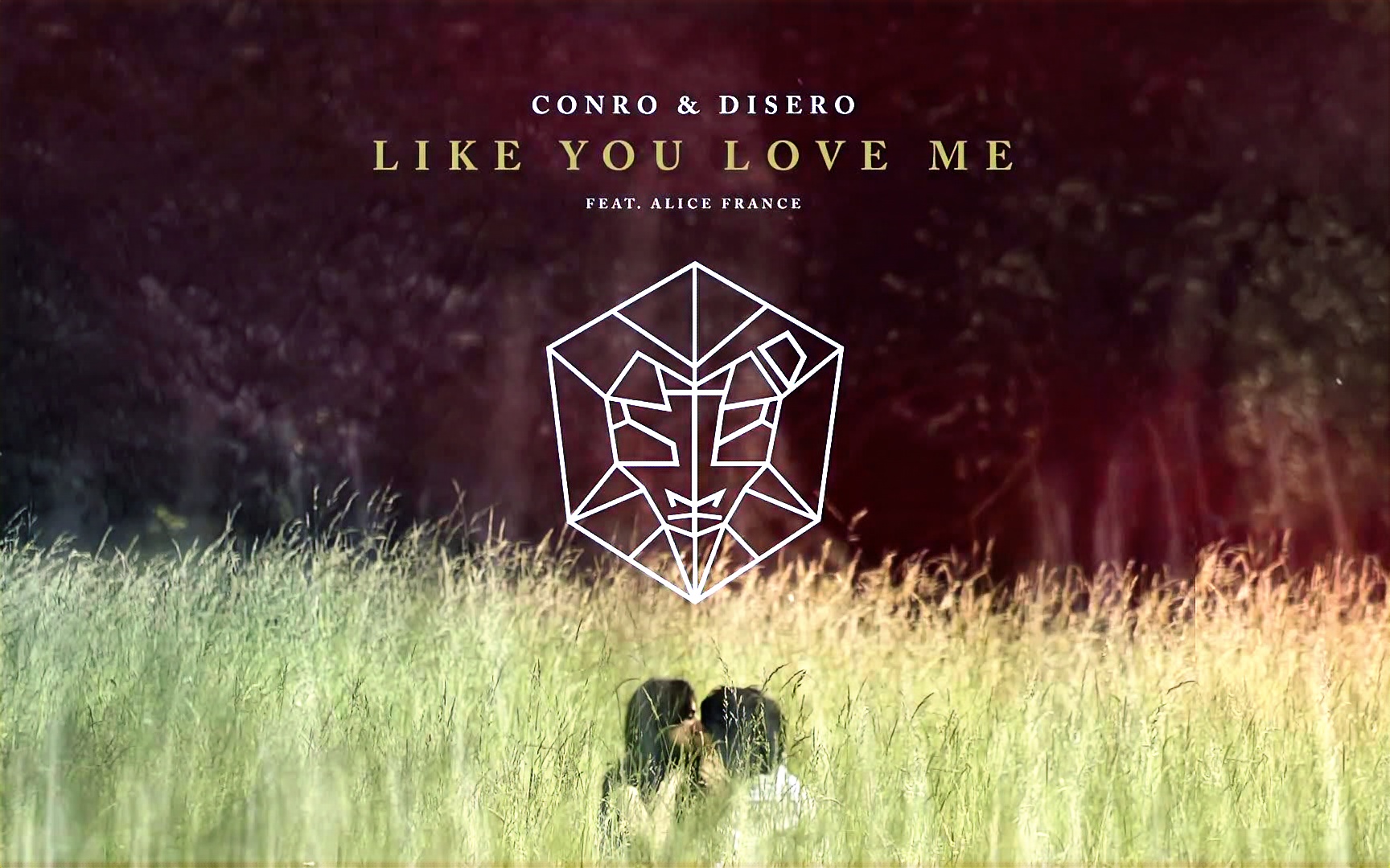 [图]【Conro & Disero feat. Alice France】Like You Love Me (STMPD RCRDS)