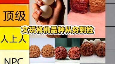 文玩核桃绕不开的品种--原树龙门涧_哔哩哔哩_bilibili