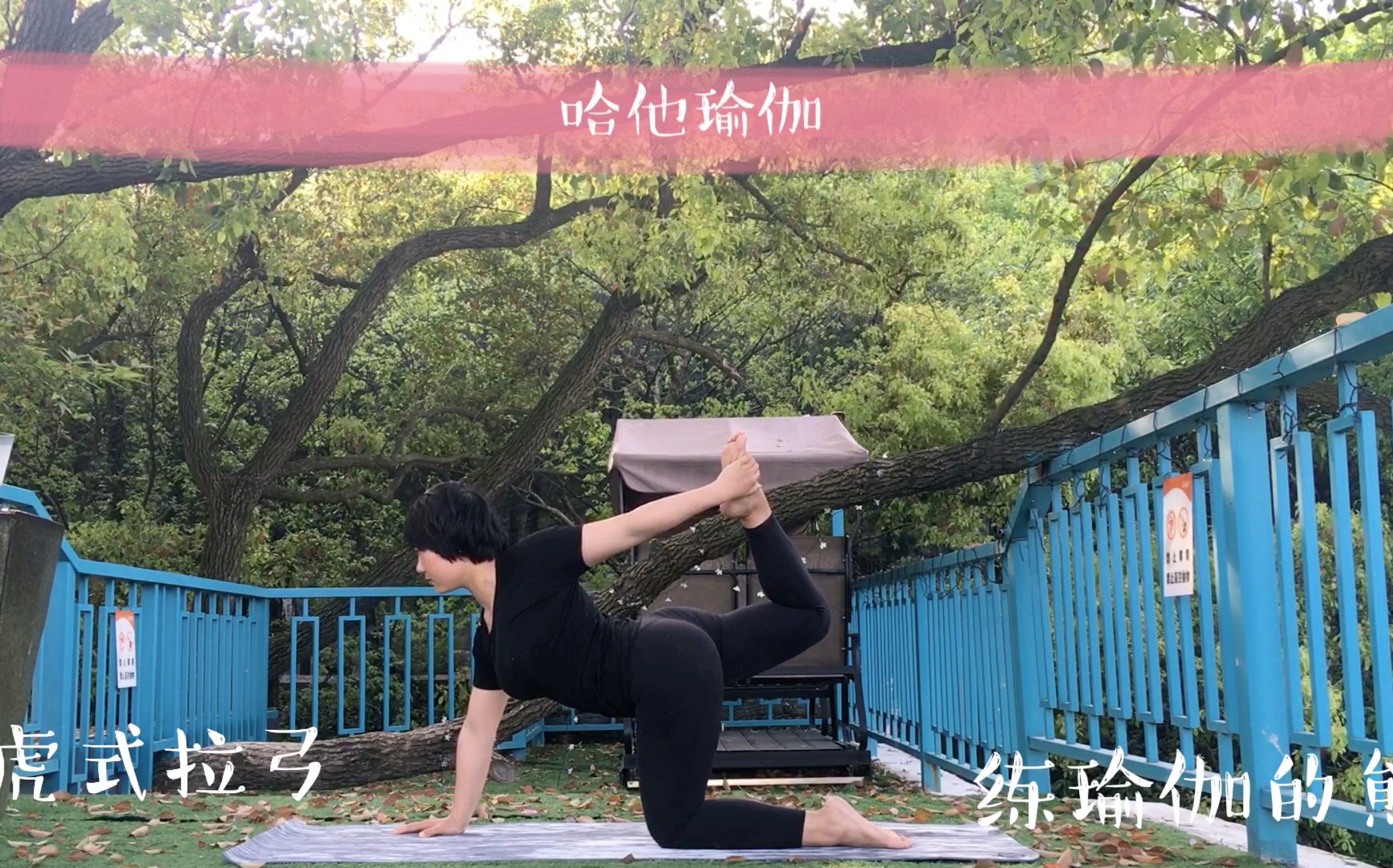 1小时完整瑜伽课哈他瑜伽全身性锻炼增强力量柔韧塑形