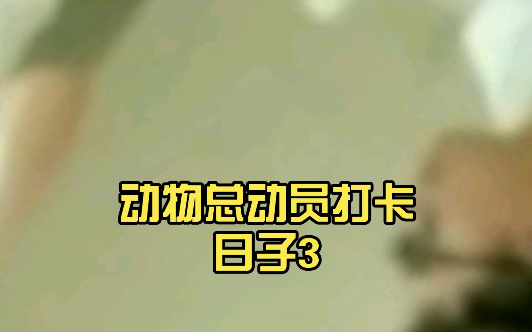 动物总动员打卡日子3|19|5|592