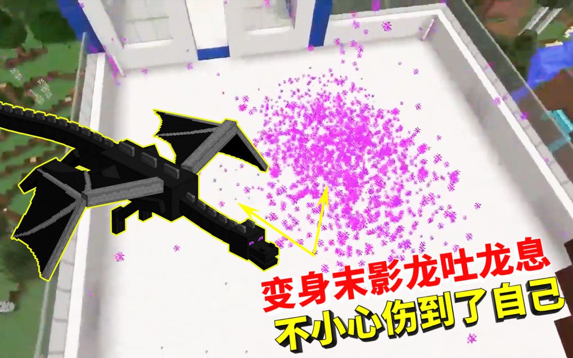 我的世界变形92变身末影龙无限吐龙息测试能否收取自己的龙息