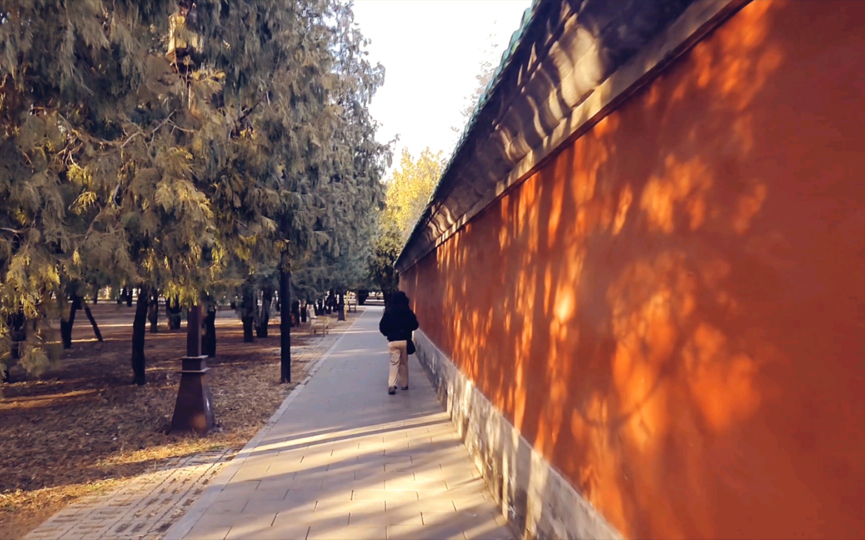 【超清北京】漫步于冬日的地坛公园,感受史铁生的文字魅力