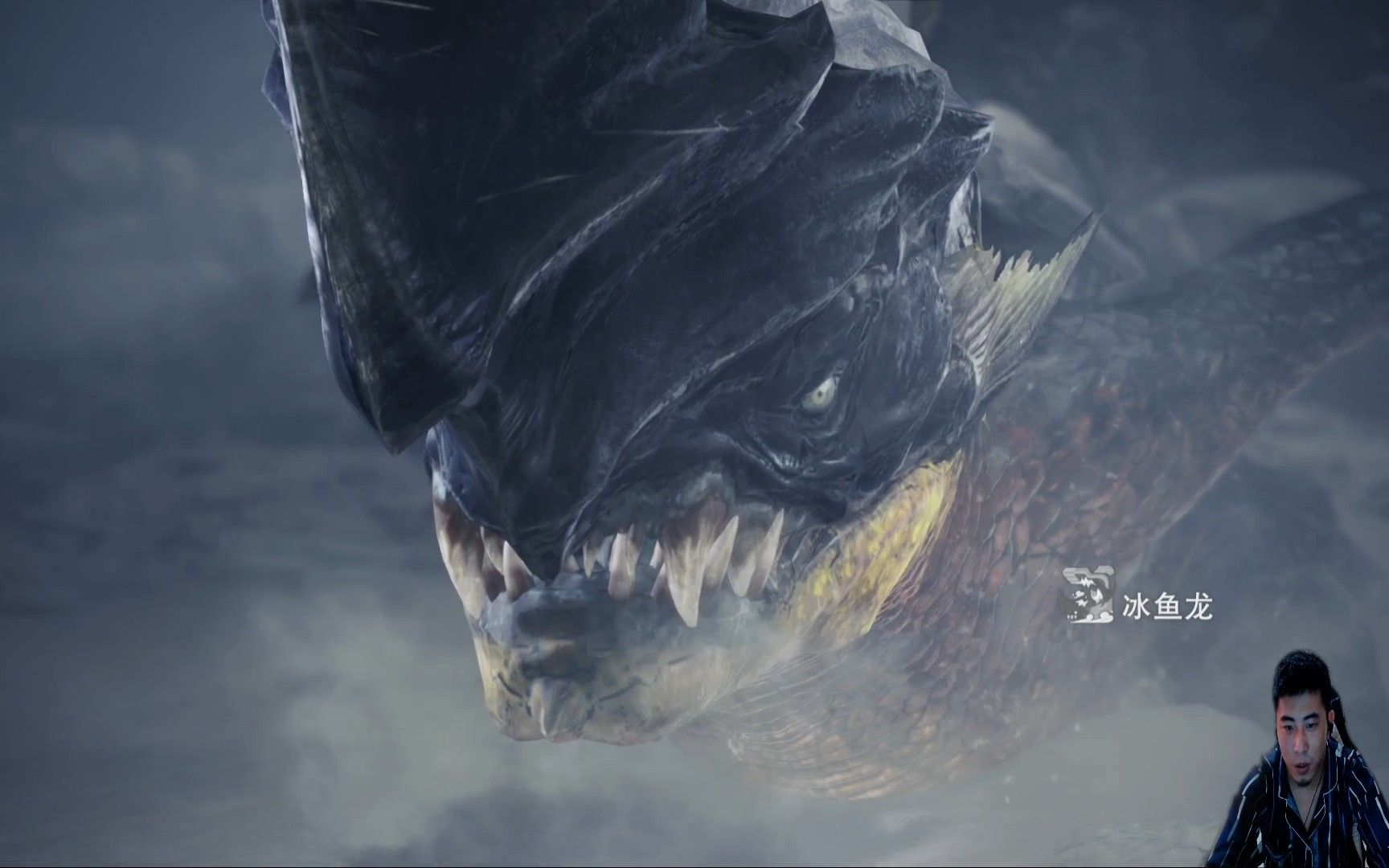 怪物猎人世界新世界跟随风飘龙痕迹进入冰原狩猎冰鱼龙