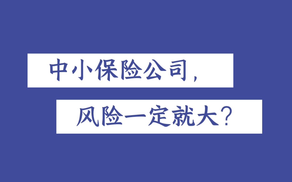 中小保险公司,风险一定大嘛?哔哩哔哩bilibili