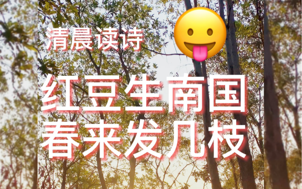 [图]红豆生南国，春来发几枝。愿君多采撷，此物最相思。