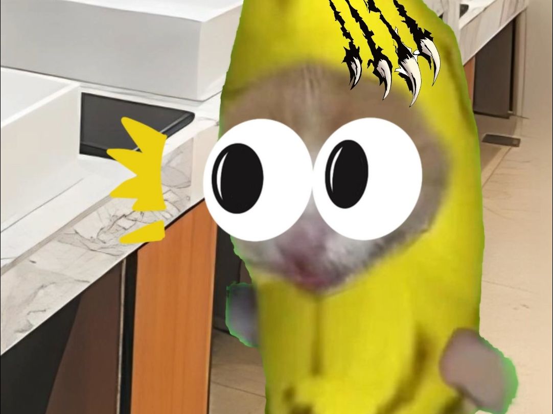 香蕉猫和老鼠