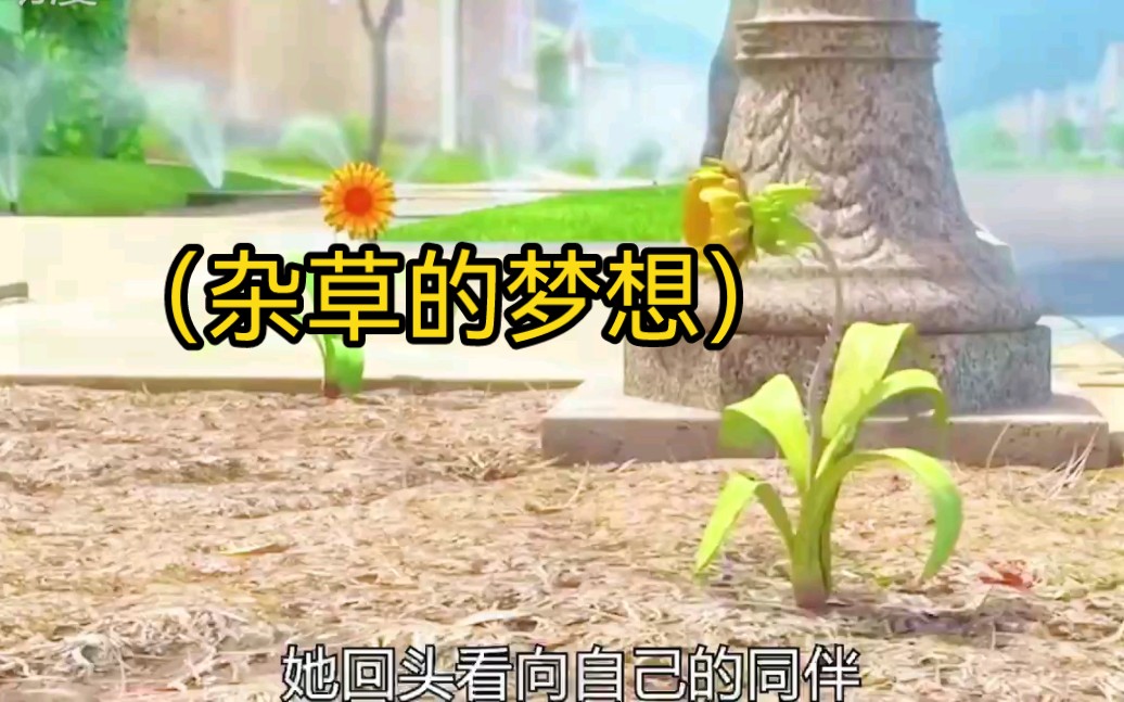 励志动画短片,(杂草的梦想)