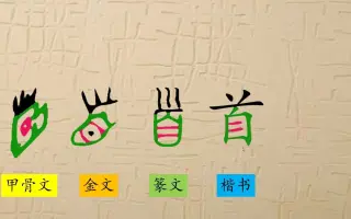 外国人学象形字 搜索结果 哔哩哔哩 Bilibili