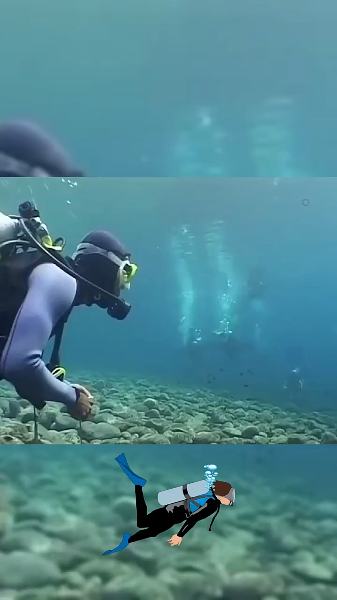 穿上潜水服背上氧气瓶来一场说潜就潜的水下旅行_哔哩哔哩_bilibili