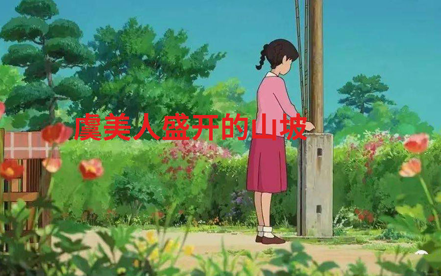 虞美人盛开的山坡(国语)