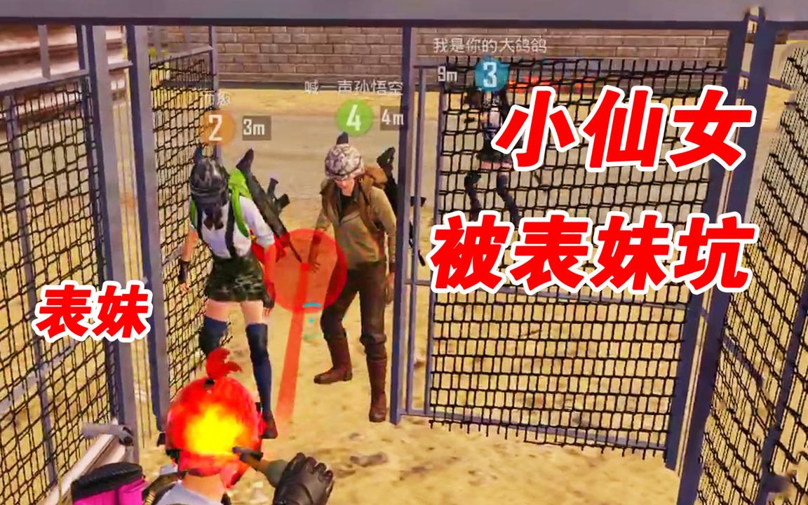 和平精英小仙女被表妹整蛊还想骗我进猪笼太坏了