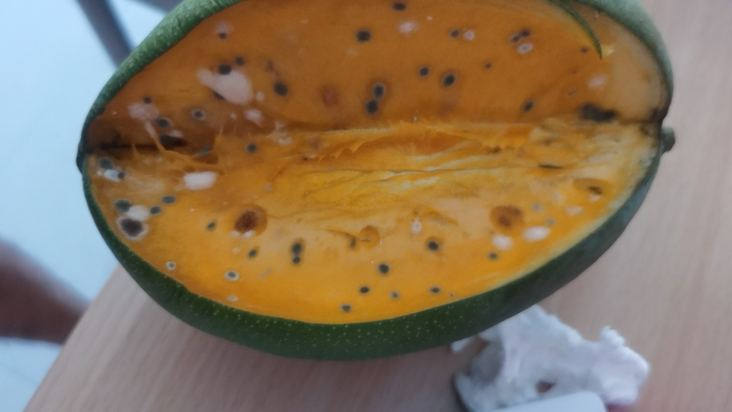 今天放了三天的芒果坏了,色彩斑斓