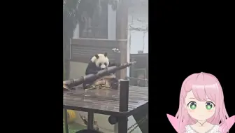 （咲花なる）华丽：雨中笋