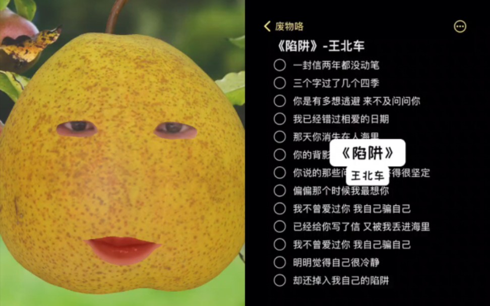 陷阱 cover王北车