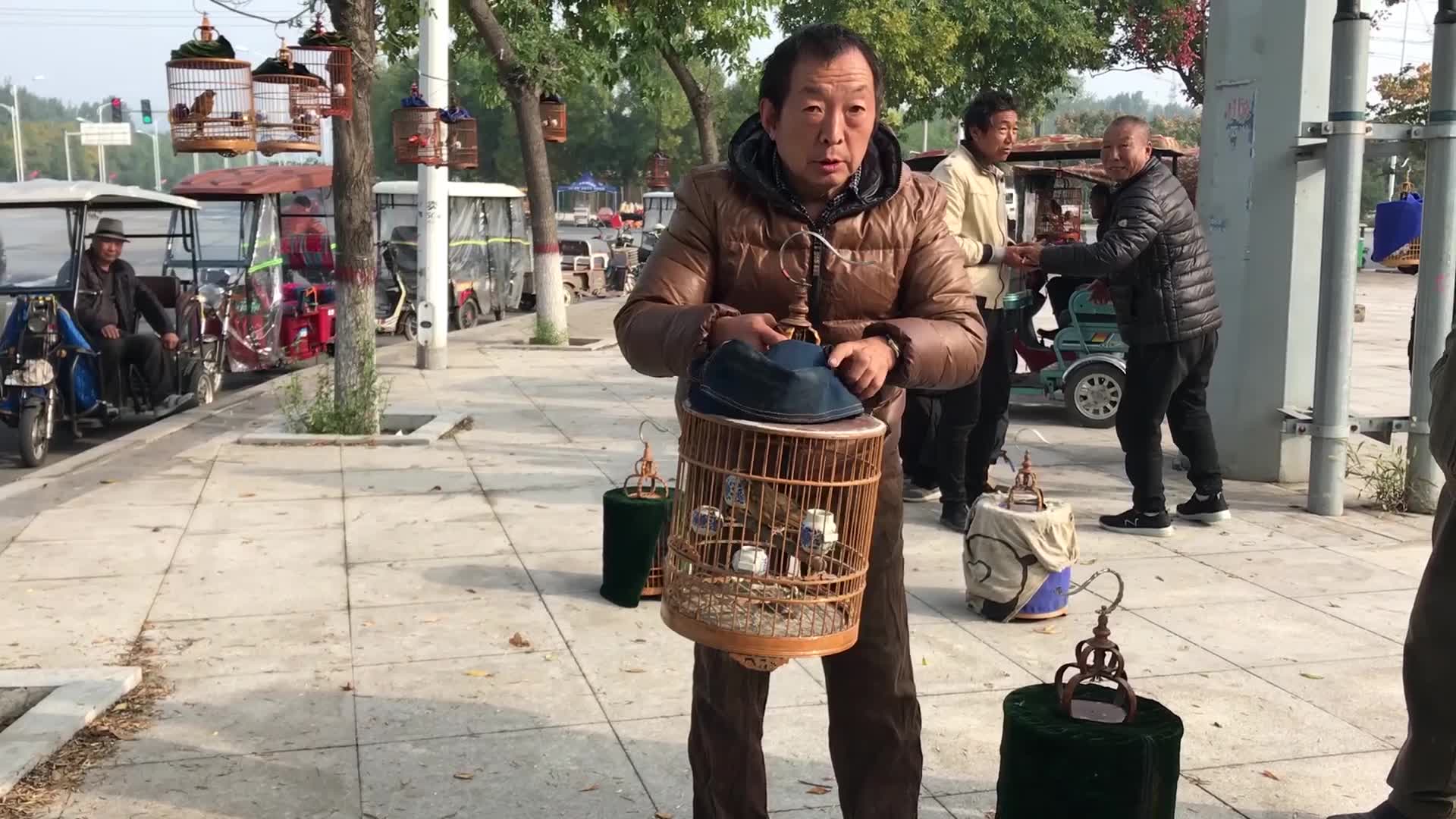 实拍河南农村鸟市,画眉鸟能打还能叫,你猜一只多少钱?哔哩哔哩bilibili