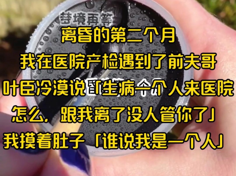 离昏的第二个月,我在医院产检遇到了前夫哥,叶臣冷漠说「生病一个人来医院,怎么,跟我离了没人管你了」我摸着肚子「谁说我是一个人」哔哩哔哩...