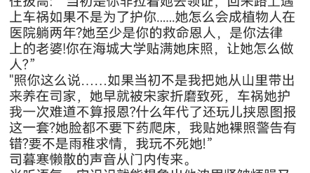 《宋迟迟司暮寒》宋迟迟司暮寒小说阅读TXT哔哩哔哩bilibili