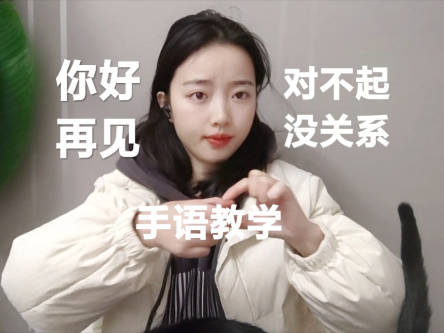 手语"你好,再见,对不起, 没关系"