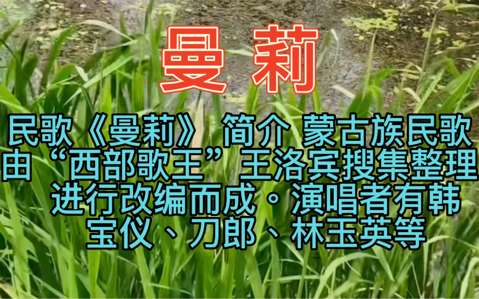 [图]经典民歌送给屏幕前的你《曼莉》