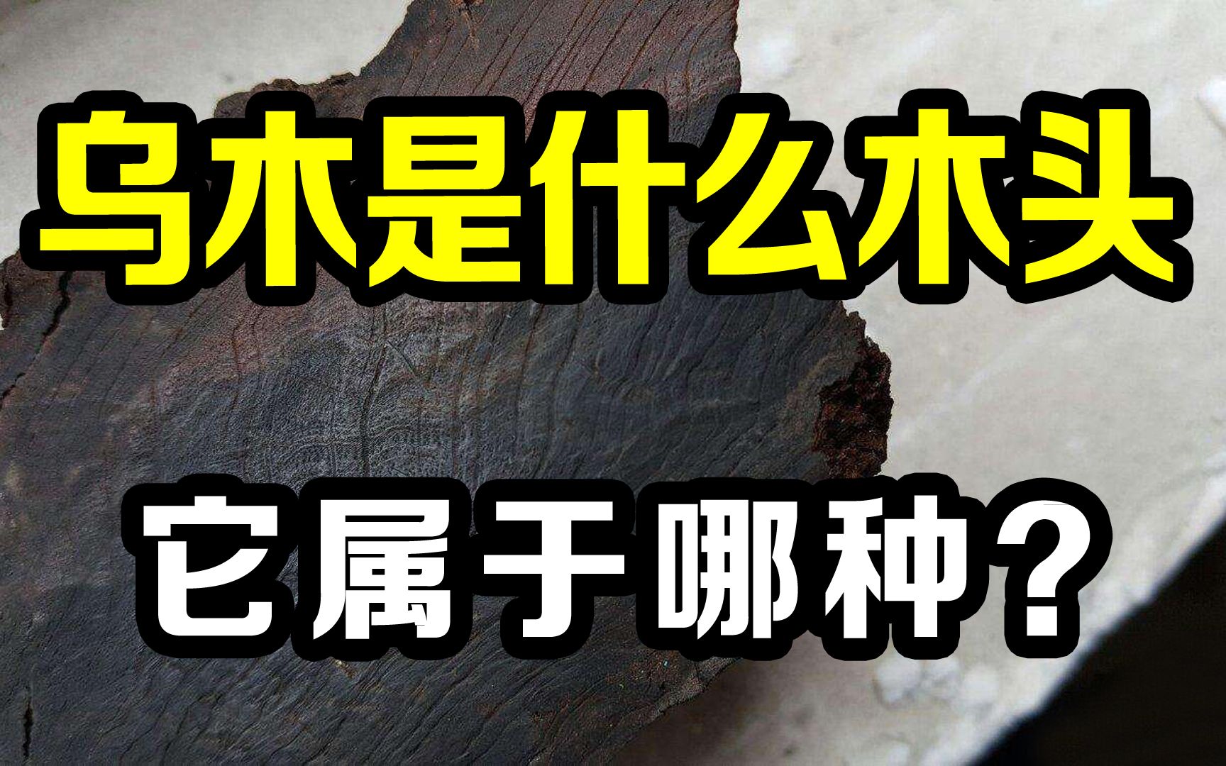 乌木是什么木头?它很值钱吗?都说它价值不菲,真的吗?哔哩哔哩bilibili