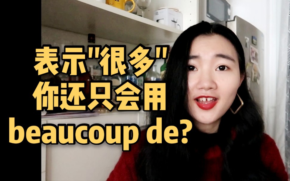 【法语课程干货】表示"很多"你还只会用beaucoup de?(法语)哔哩哔哩bilibili