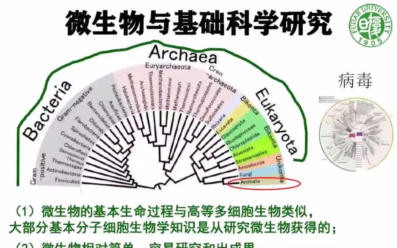 [图]复旦大学2023年生命科学学院微生物学与免疫学系宣讲会