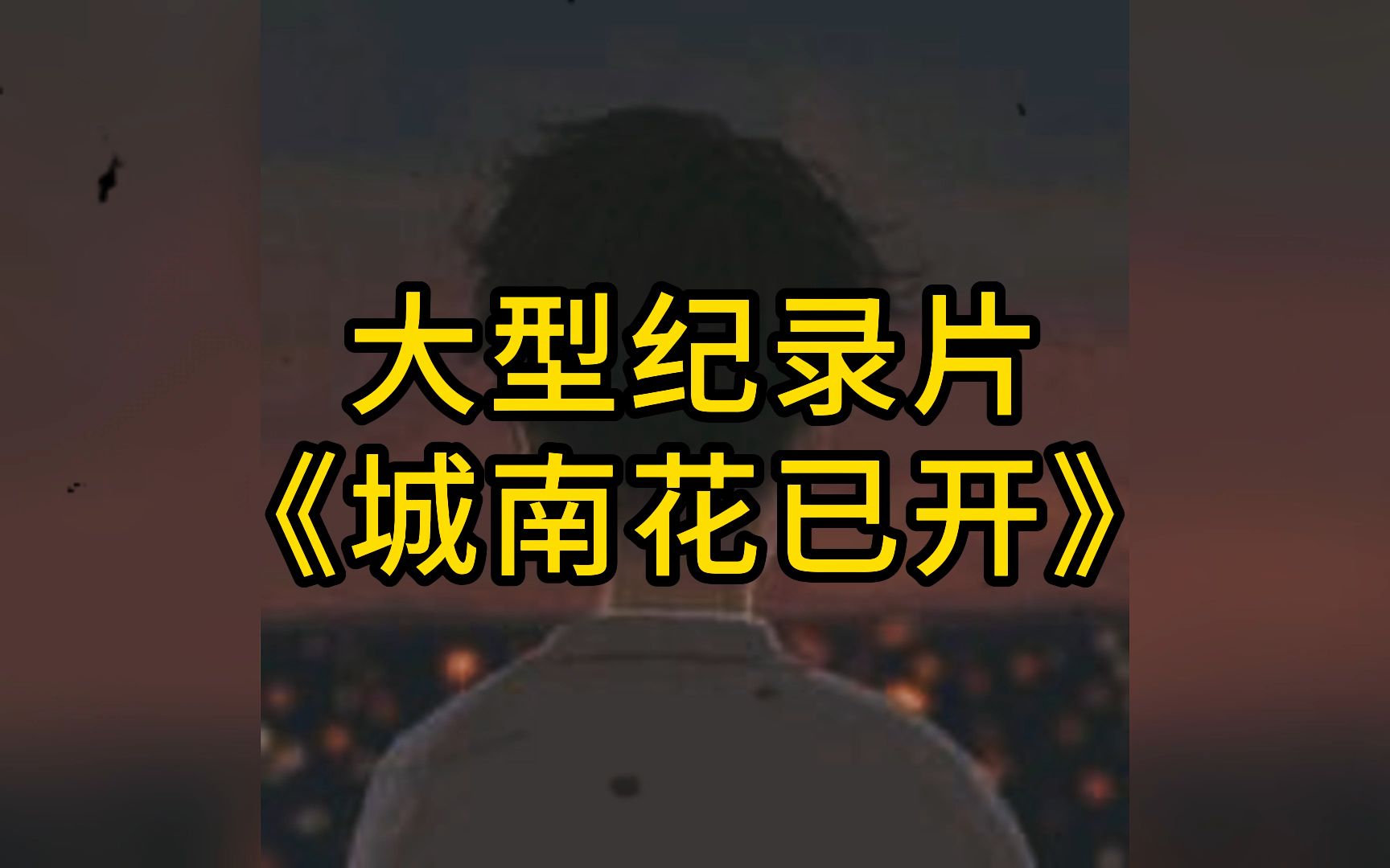 大型纪录片《城南花已开》"城南花已开,愿君永常在"