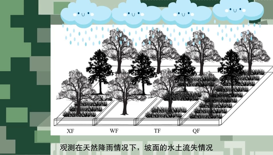 作品—三峡库区降雨特征和林草覆被格局对坡面水沙产出的影响哔哩哔哩bilibili