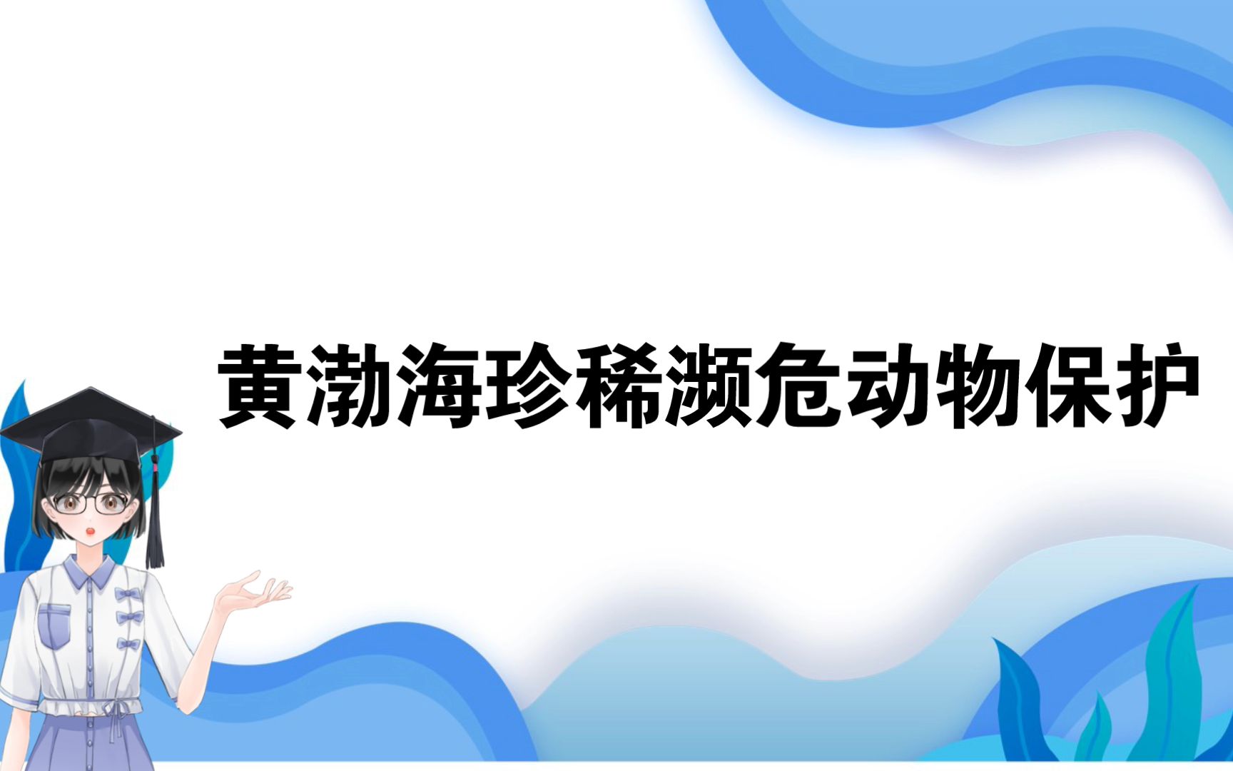 黄渤海珍稀濒危动物保护——守护蓝色海洋 保护野生动物哔哩哔哩bilibili