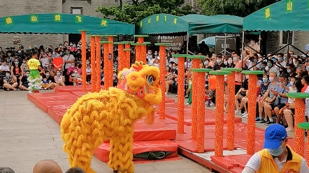 佛山醒狮-梅花桩