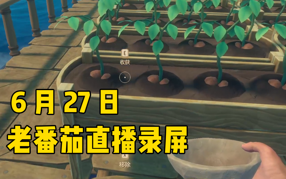 【老番茄录屏】6月27日老番茄直播录屏 raft