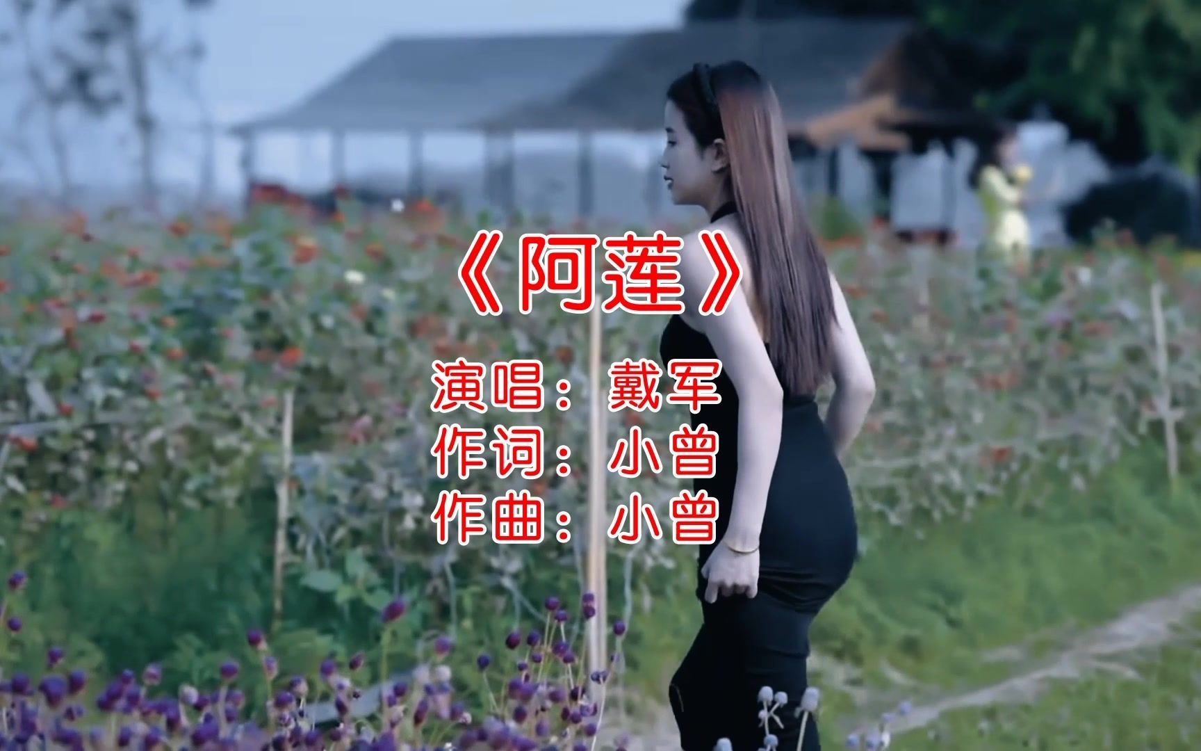 戴军演唱的经典歌曲《阿莲》,好听极了!