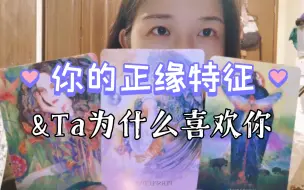 Descargar video: 【陶大宝】大众占卜：你正缘的特征&Ta为什么喜欢你/你的什么特质吸引了Ta