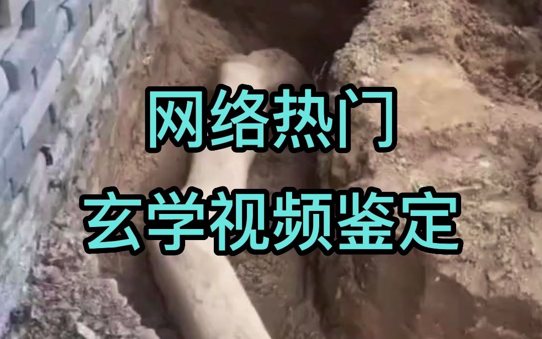 鉴定网络热门玄学视频:树根与龙脉哔哩哔哩bilibili