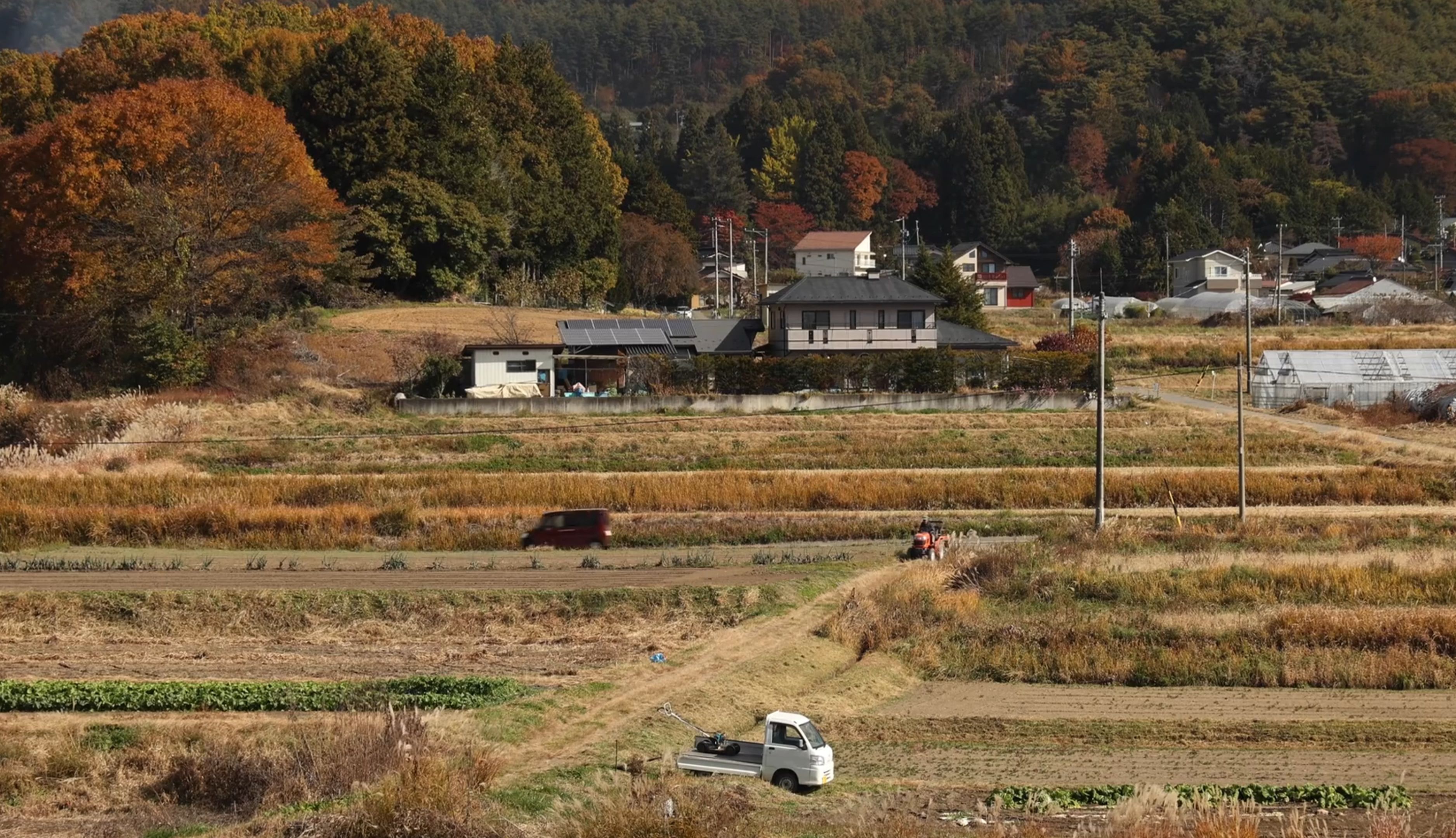 日本农村丨远离都市的喧嚣 享受田园风光哔哩哔哩bilibili