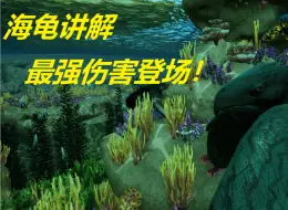 Download Video: 【百慕大野兽】海龟讲解/伤害数值的战神