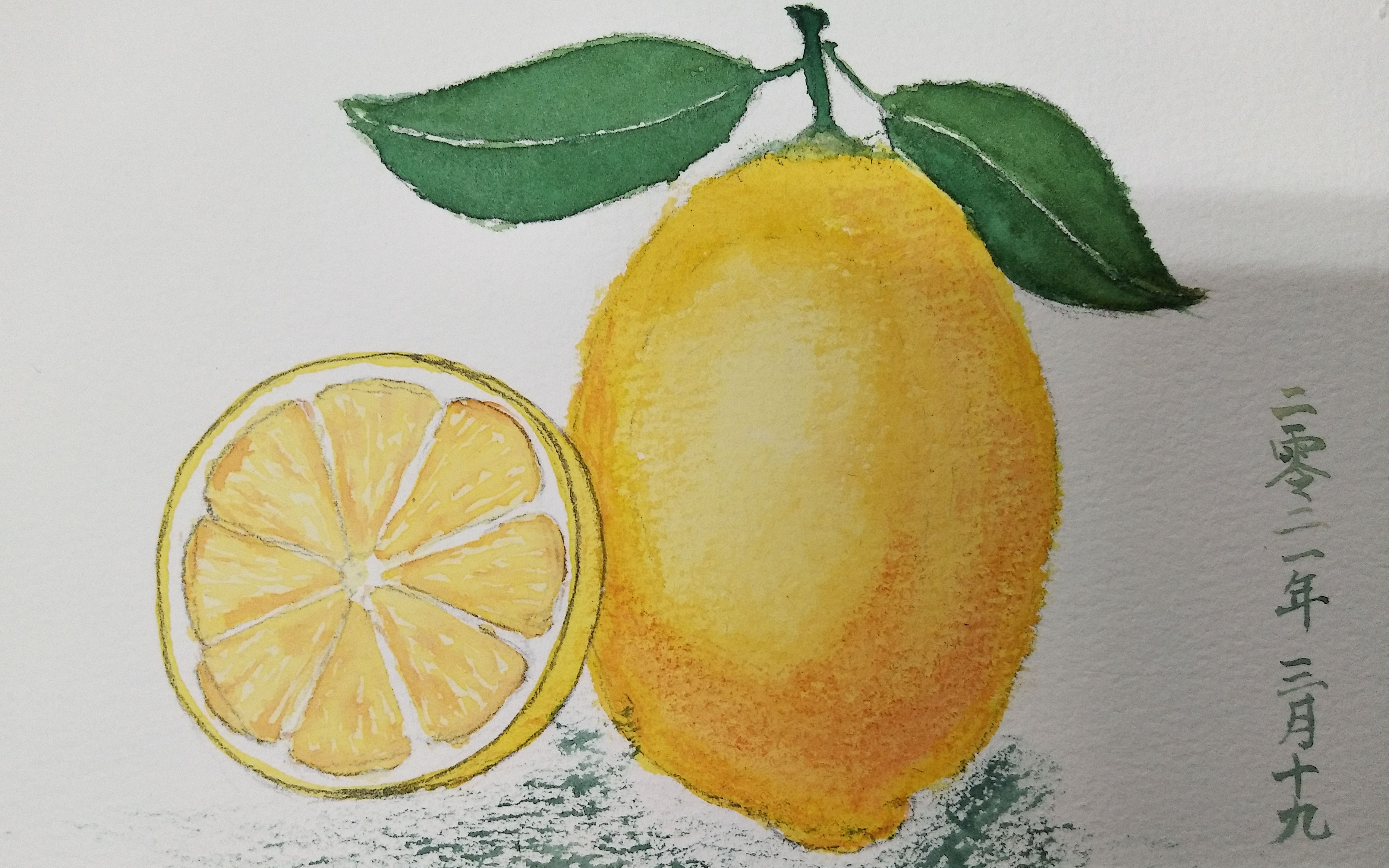【新手水彩】柠檬 临摹 (学累了来画画呀!