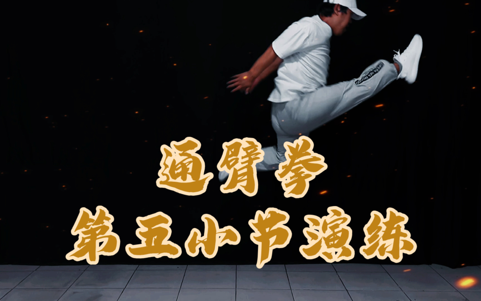 竞技版通臂拳,第五小节演练篇