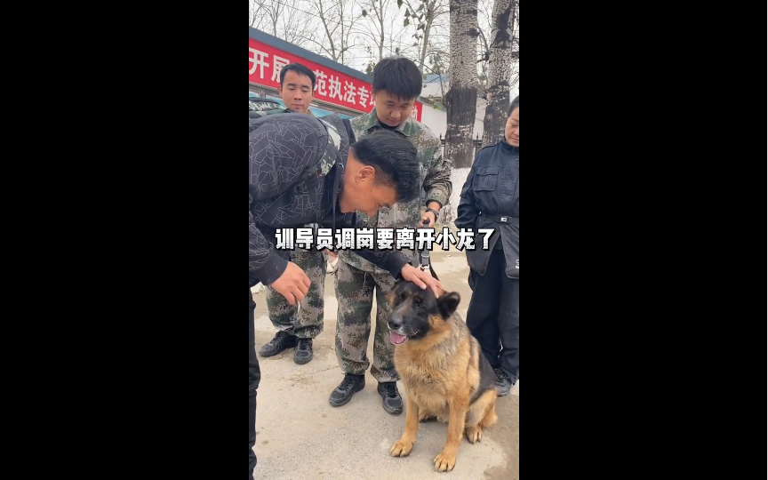 [图]训导员离别之际，警犬奔向战友