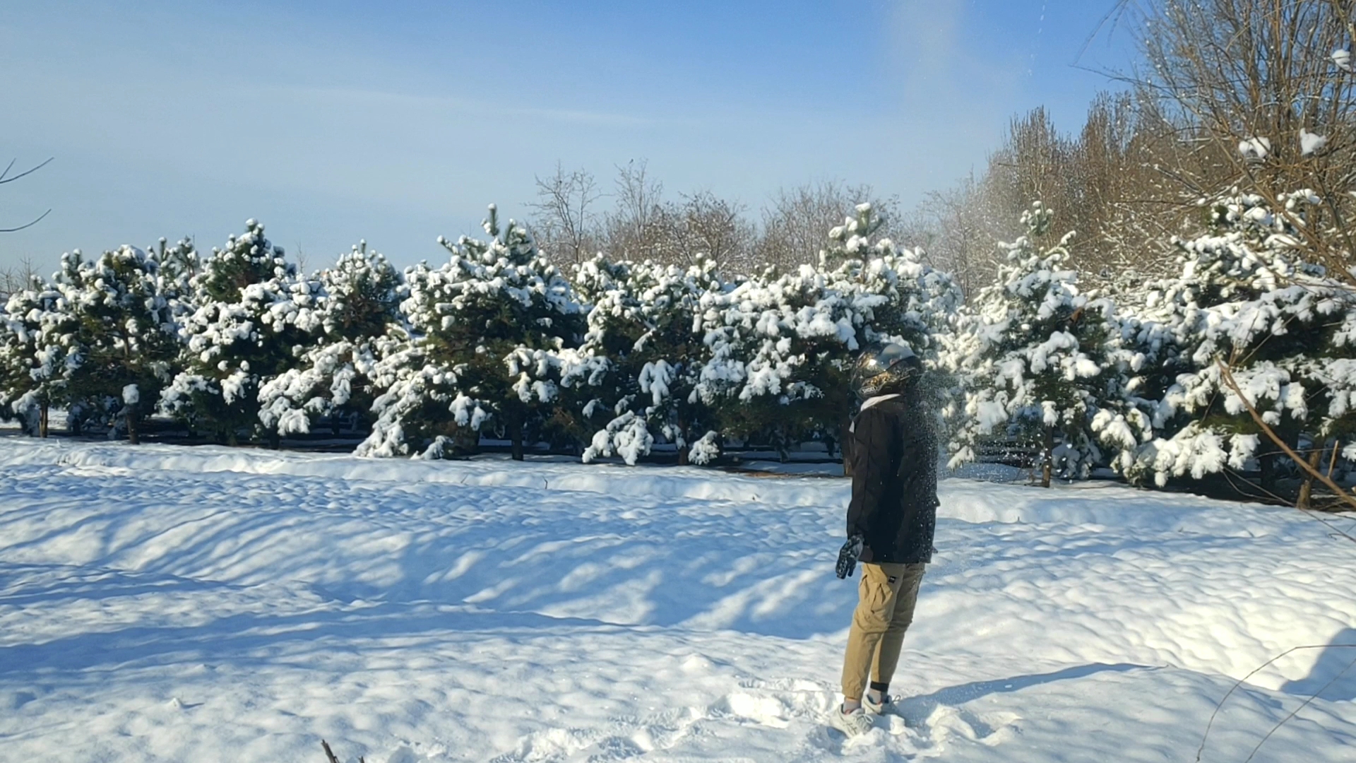 [图]快让我在雪地上撒点野！