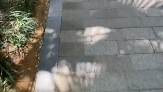 高跟鞋原声2.2