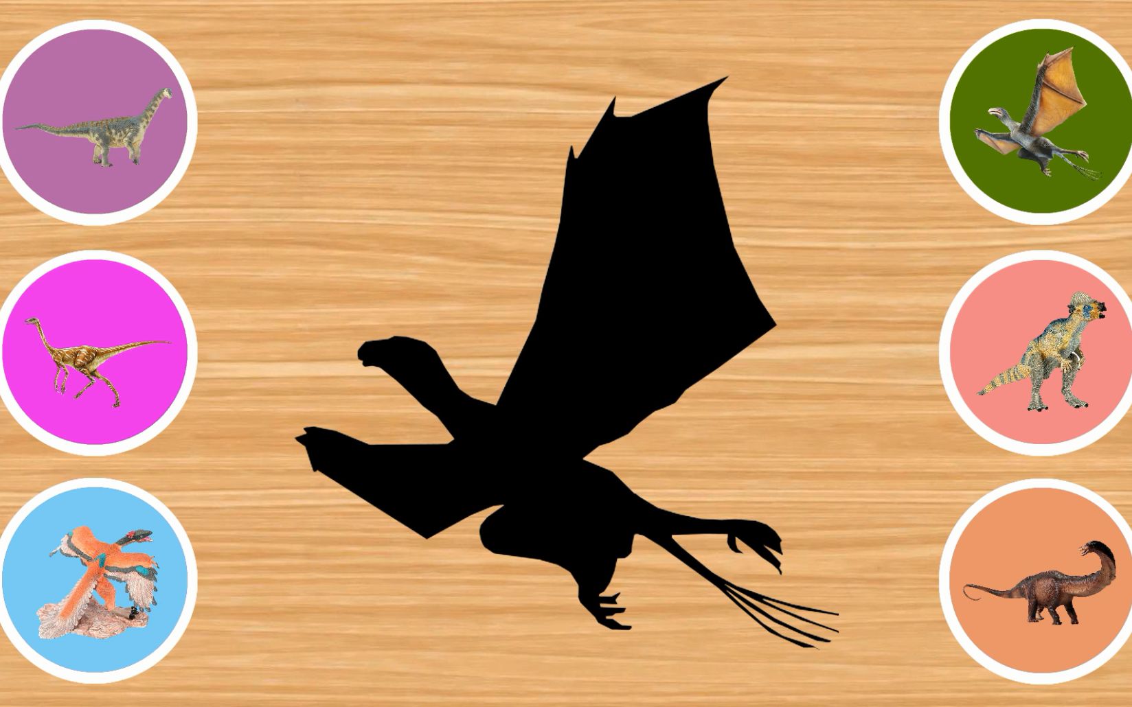 认识奇翼龙,似鸵龙,地震龙等恐龙