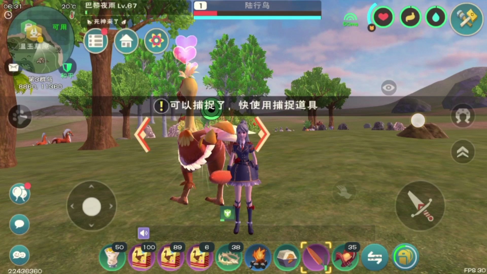 创魔百科之不会飞的走地鸡,陆行鸟:我是鸟,是鸟啊