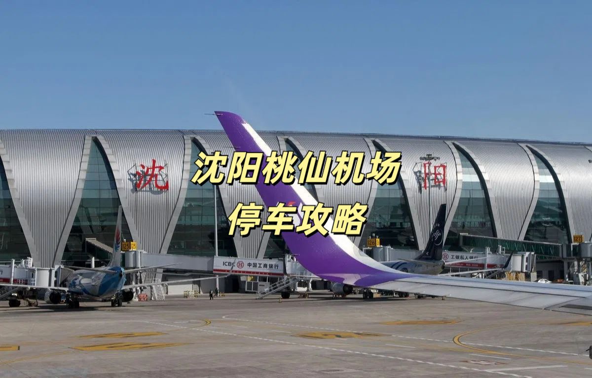 沈阳桃仙机场