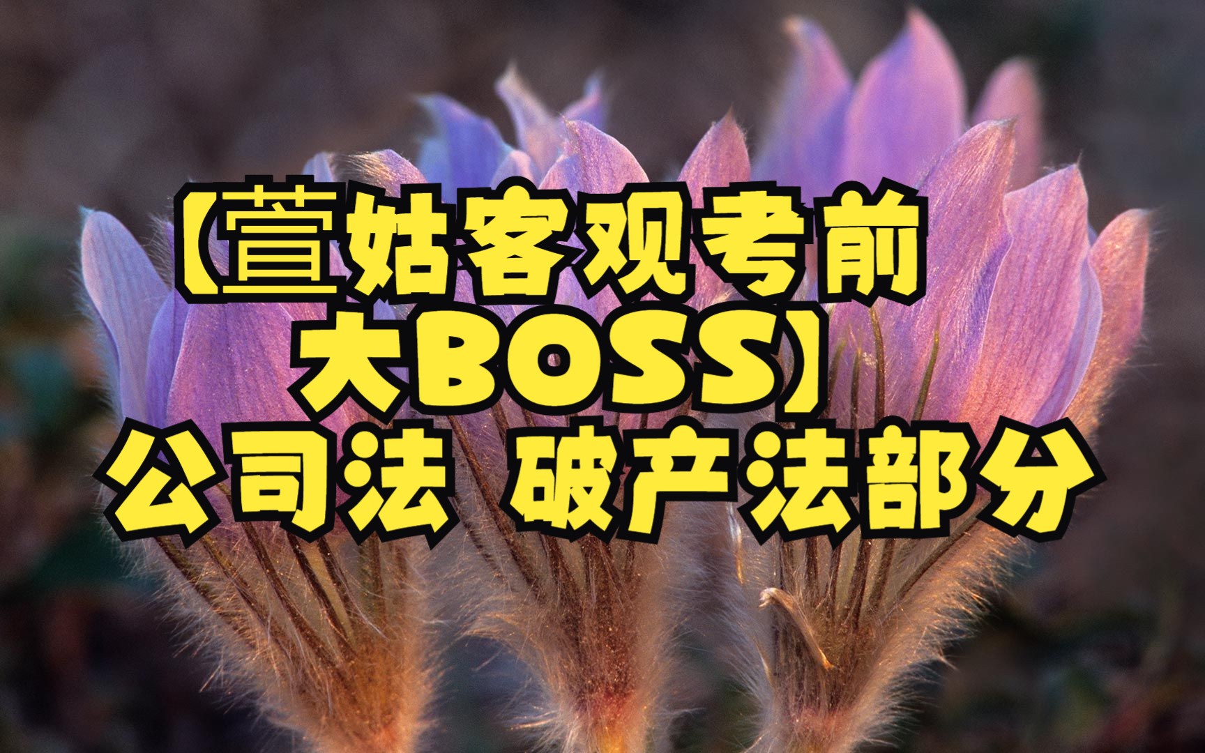 【萱姑客观考前大BOSS】公司法 破产法部分哔哩哔哩bilibili